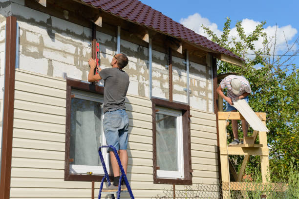 Affordable Siding Repair and Maintenance Services in Pequot Lakes, MN